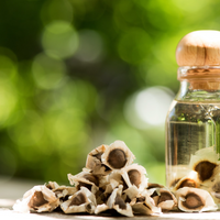 Moringa Oil