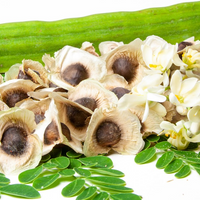 Moringa Oil