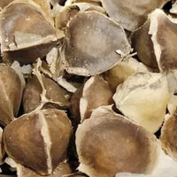 Moringa Oil