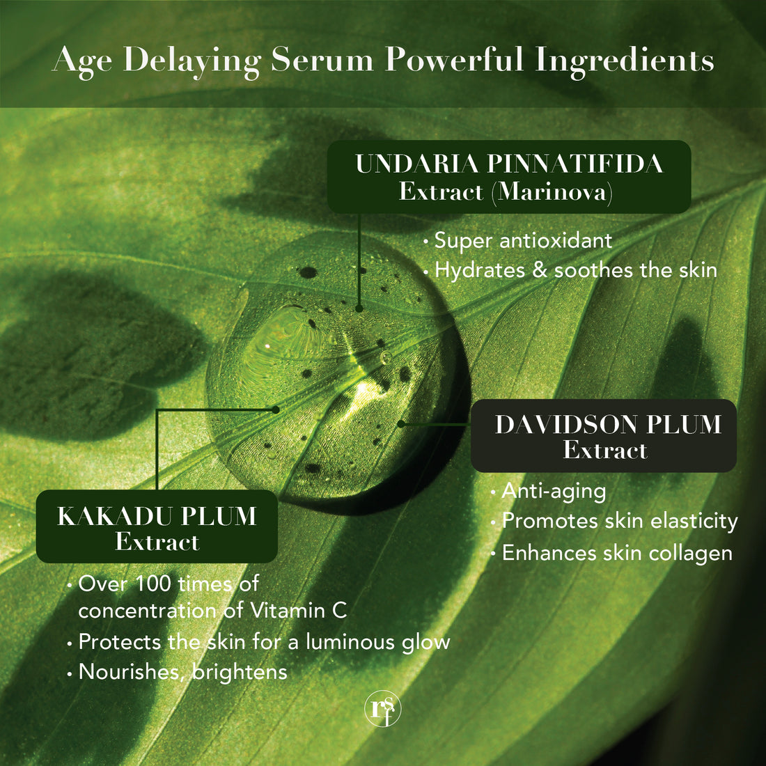 Age Delaying Serum - RARE SkinFuel